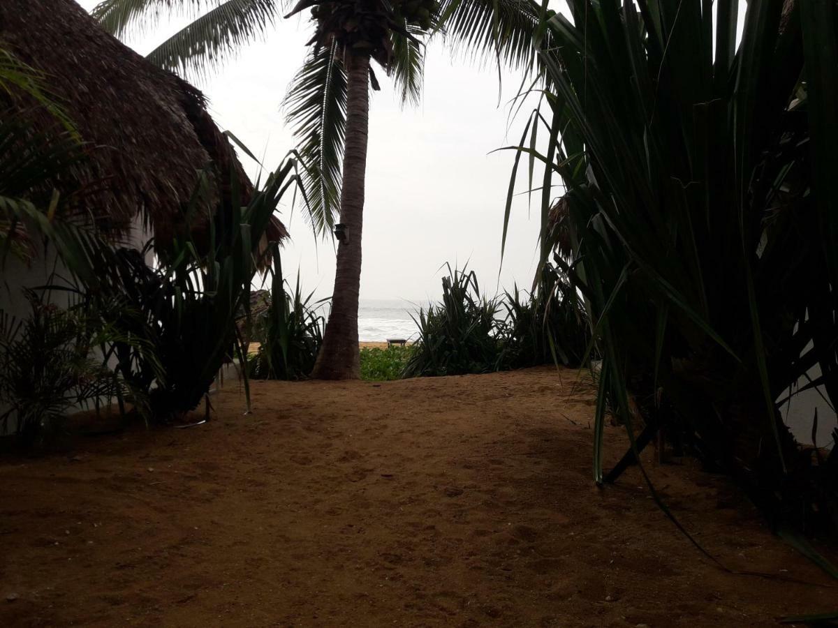 El Alquimista Yoga Spa Zipolite Eksteriør billede